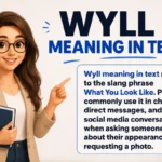 wyll meaning in text