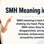 smh-meaning-in-text