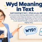 Wyd Meaning in Text